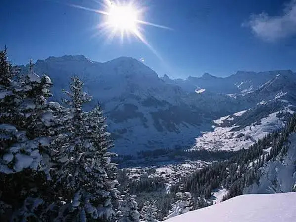 Adler Adelboden