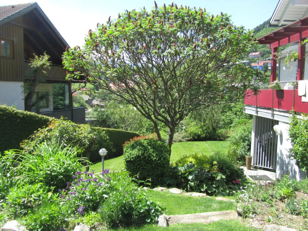 Südhang FeWo