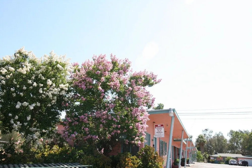 HARRYS MAN CAVE - A Vintage Motel on the Historic 395 route - The New Star Motel Experience