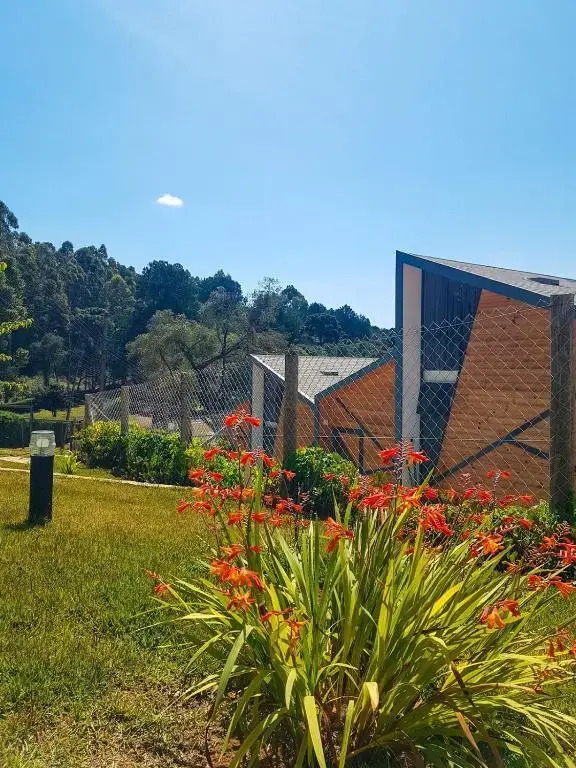 Hotel Pico 16