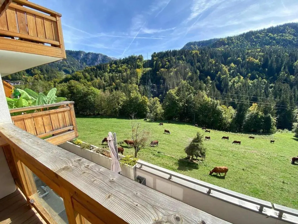 Appartement Saint-Jean-de-Sixt, 3 pièces, 5 personnes - FR-1-459-151