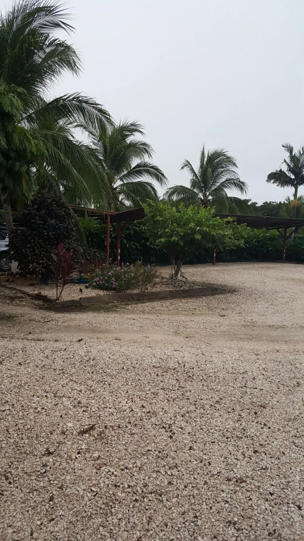 Hotel La Arena