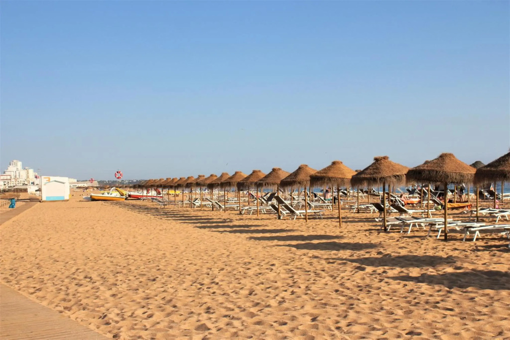 Vilamoura Dolphin Studio