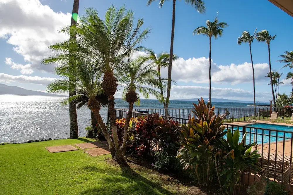 Lauloa 105