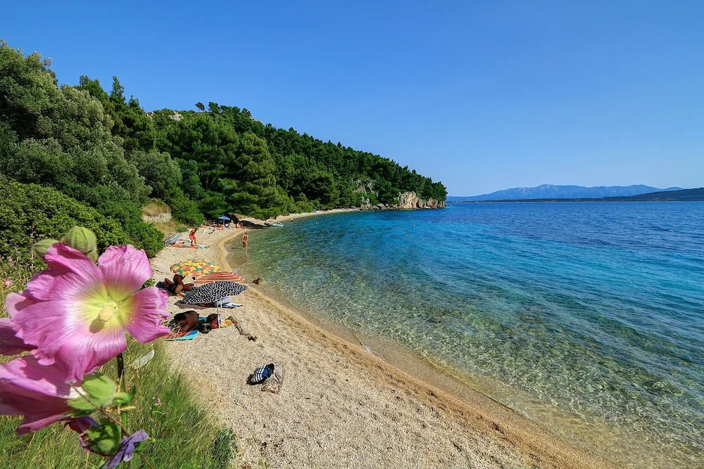 Split Region, Town of Makarska, Nature Park Biokovo With Sky Walk, Pets Allowed