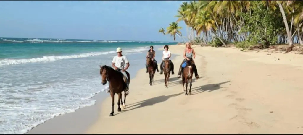 Liz Apartment Punta Cana 2 Bedrooms 2Bathrooms