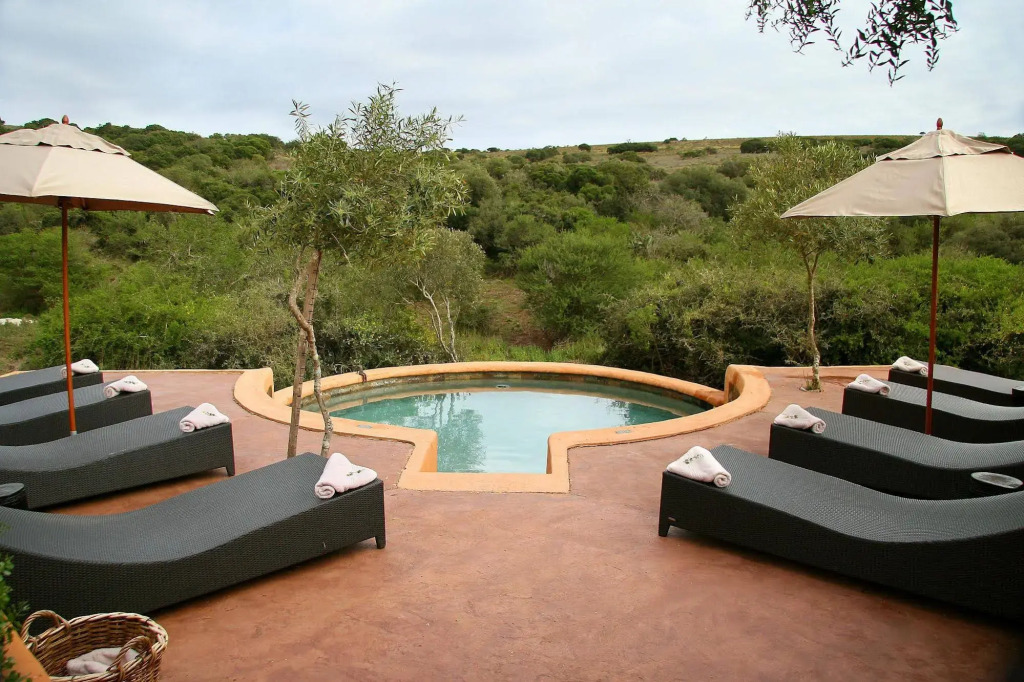 The Safari Lodge