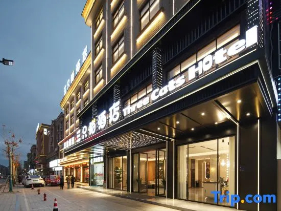 Three Cats Hotel (Guangsha Construction College)