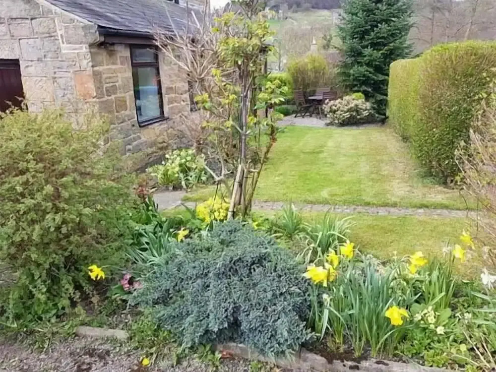 Woods View Cottage