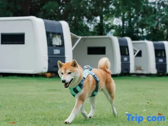 Zhonglv Anaya Jiulong Lake · A.CAMP RV Campground