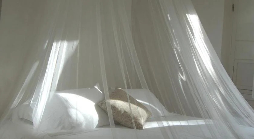 Suite Assul