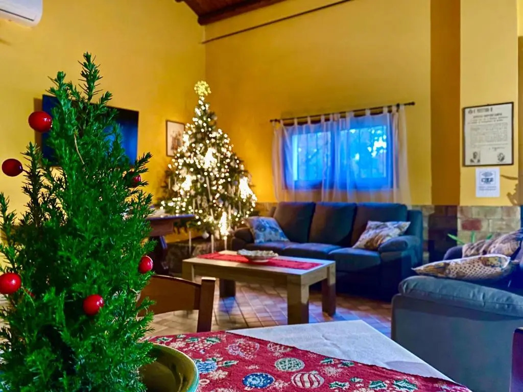 Bnb I Gelsomini Selinunte