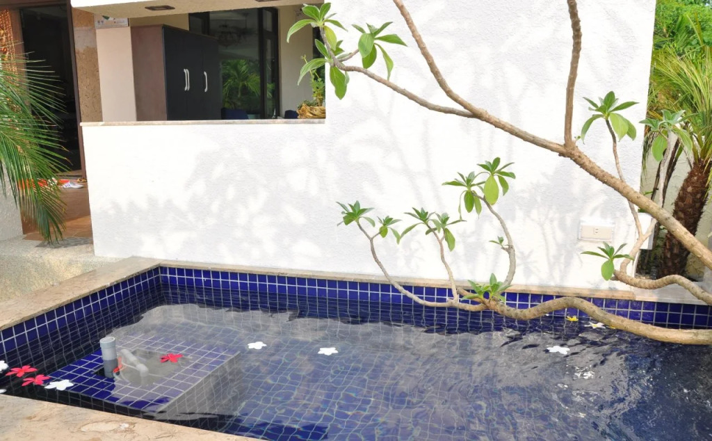 Kurumba JiJi B&B