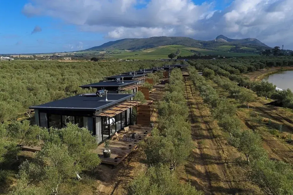 Olijvenkraal Winelands Lodge