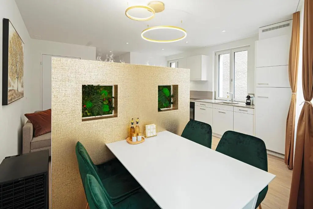 VISIMO Apartments Mühlensteg St Gallen - Elegant Quiet Central