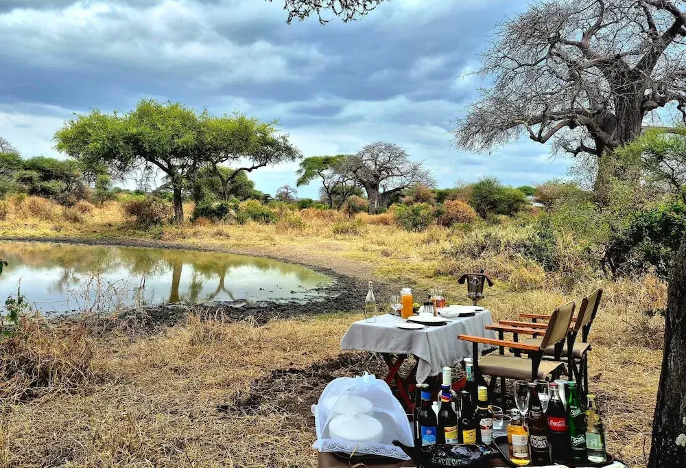 Tarangire Greenland Retreat