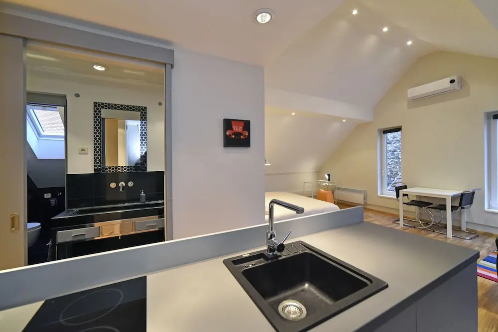 Apartment Skylight