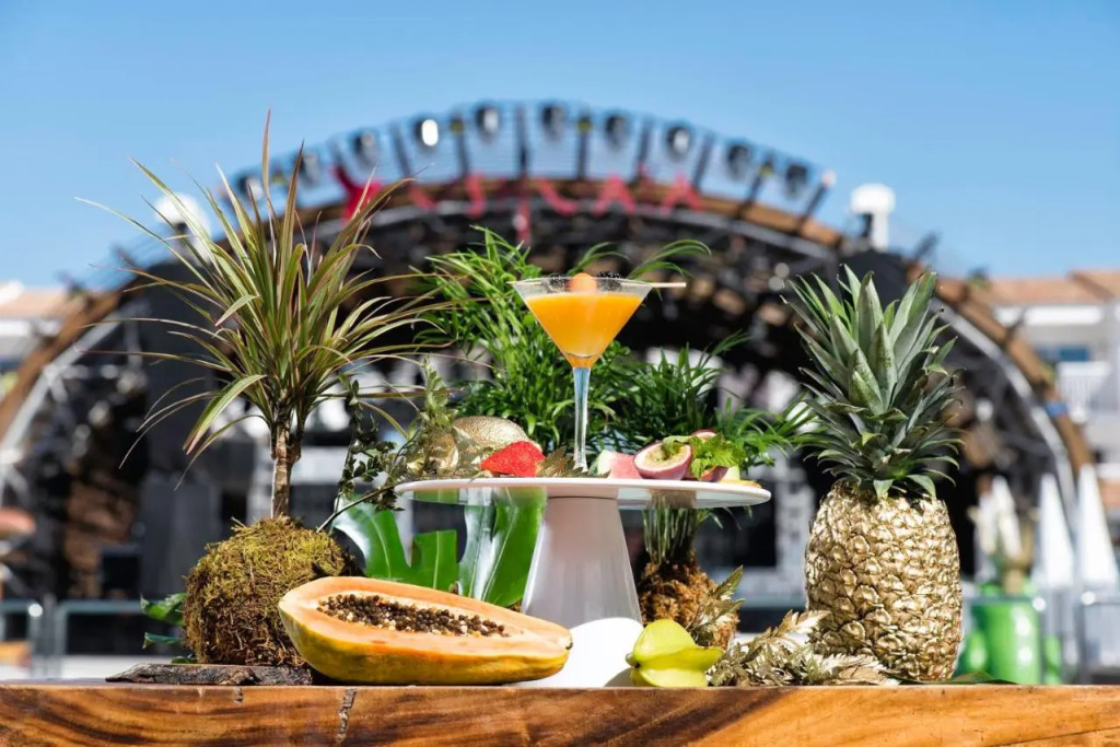 The Unexpected Ibiza Hotel - Ushuaïa Club entrance included