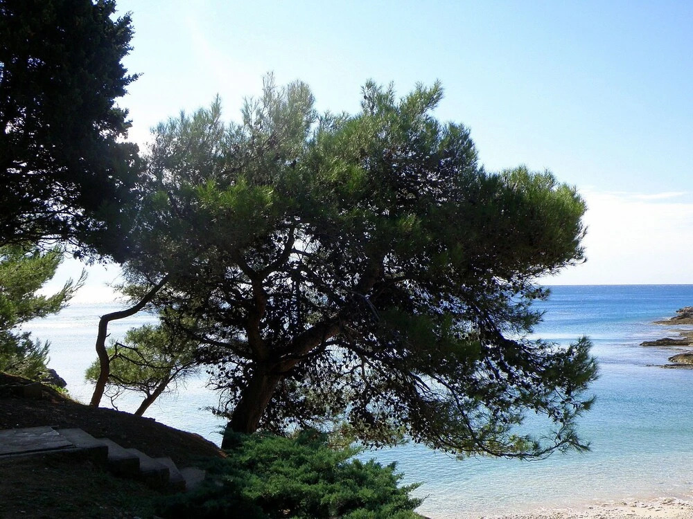 Modern Apartment in Pula Near Beach