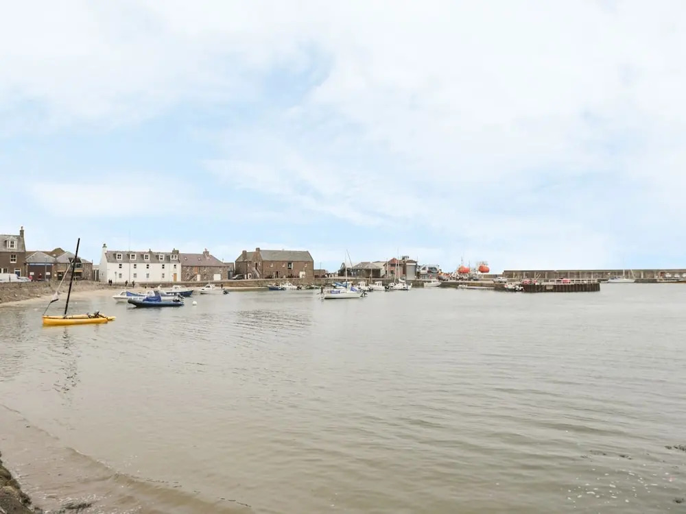The Haven 12 Shorehead