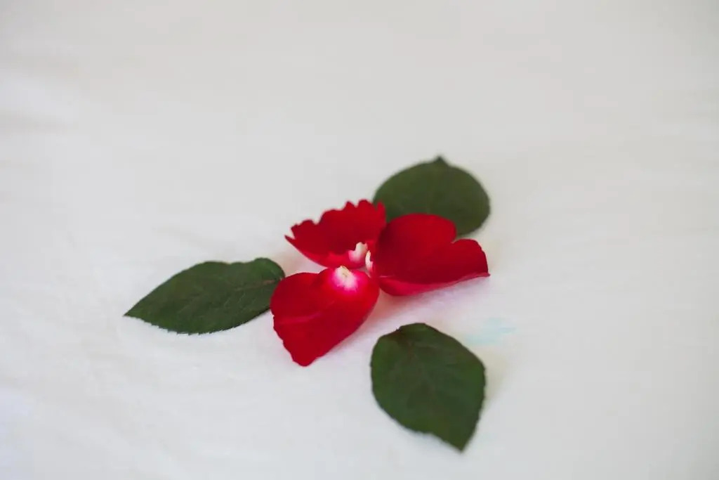 Tulip Hotel Sapa