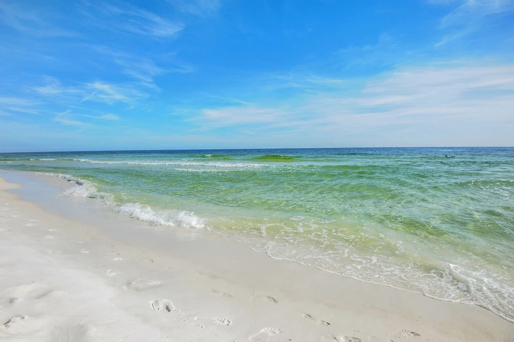 Sea Dunes 501
