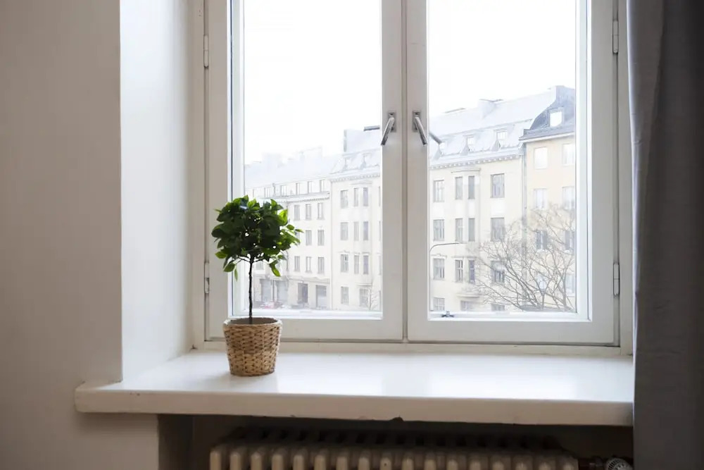 1BR City Apartment with Great Location