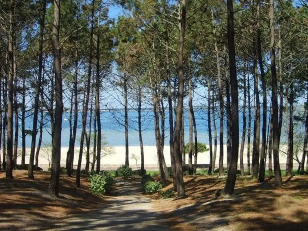 Appartement Arcachon, 2 pièces, 4 personnes - FR-1-374-143