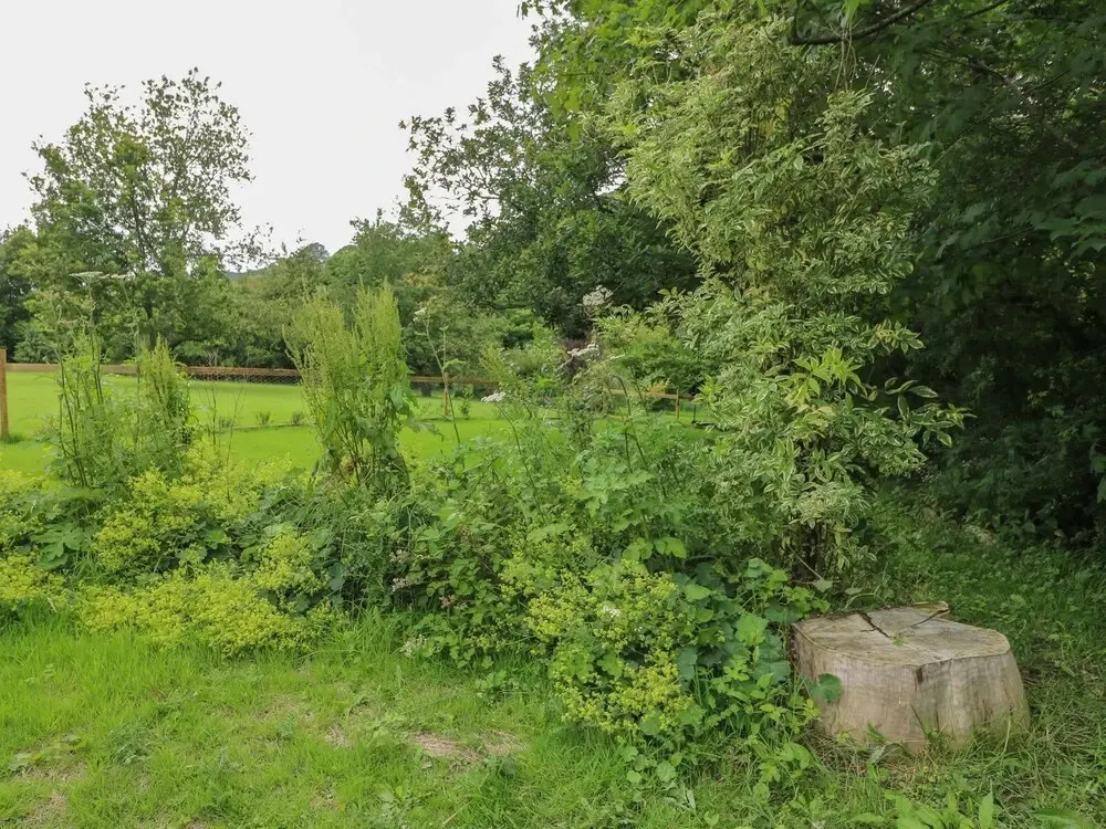 Field View