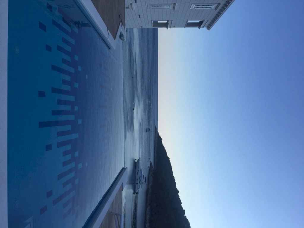 Pine Tree Boutique Apartments