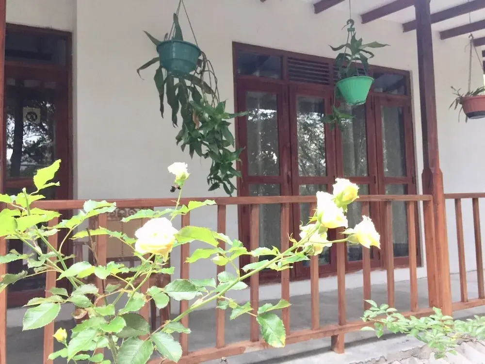Ella nature nest