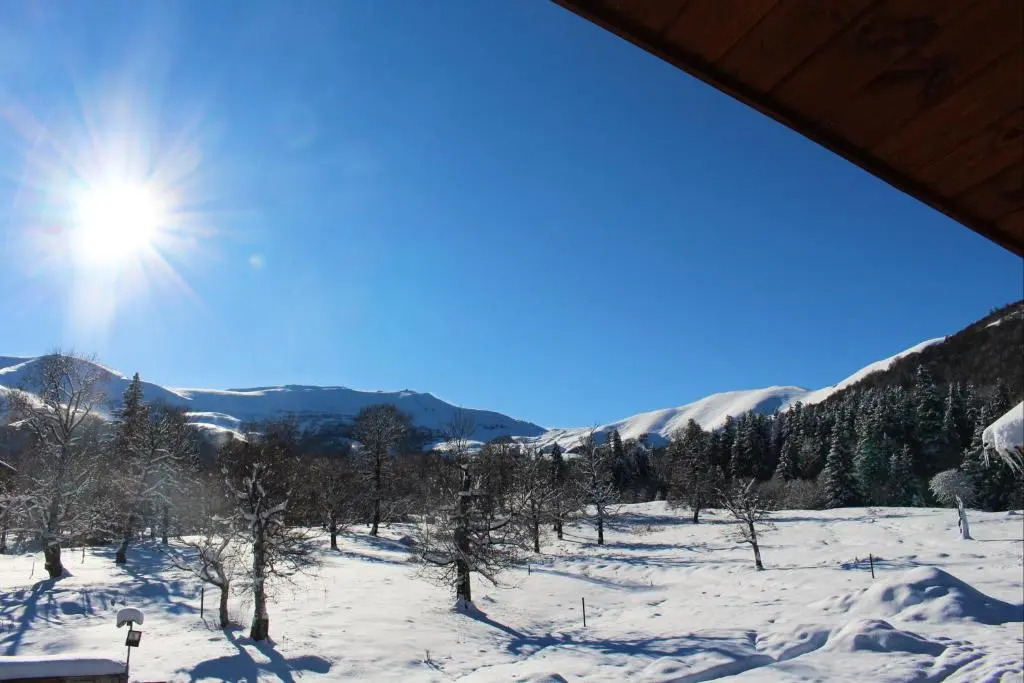 Mountain Villa Didveli