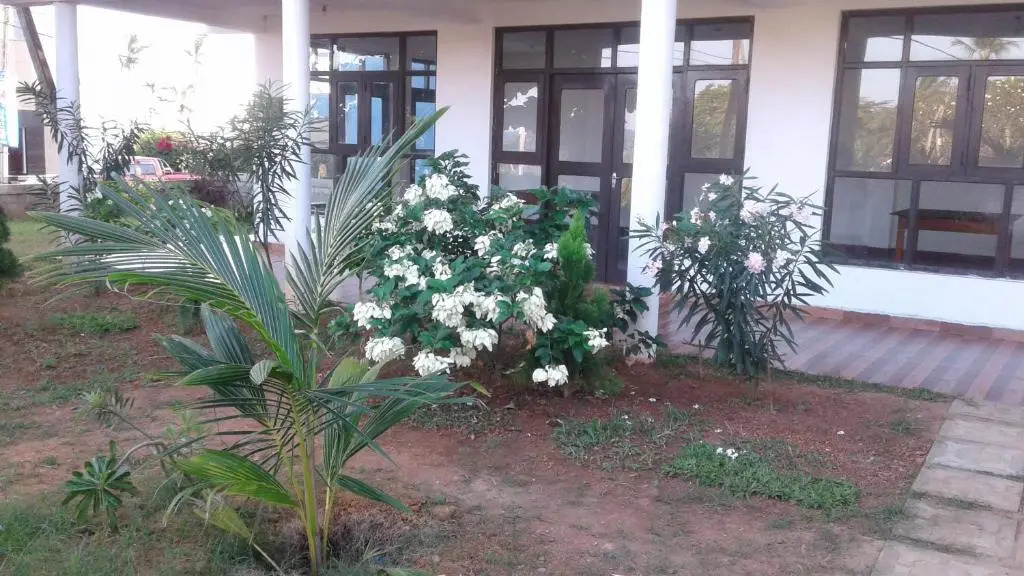 Masha Beach Inn