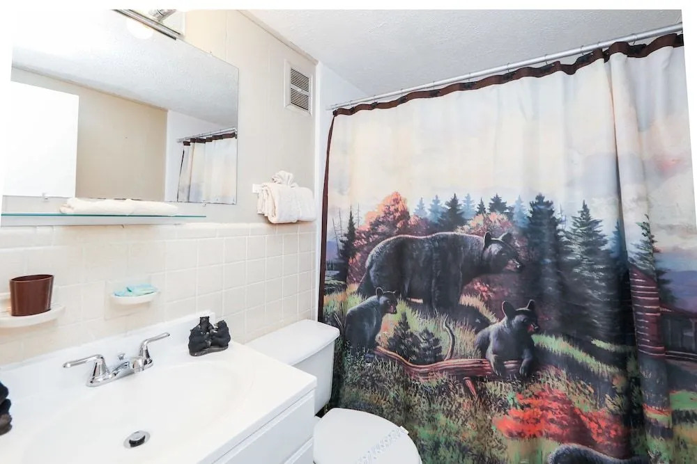 1429 Zurich Rd Chalet