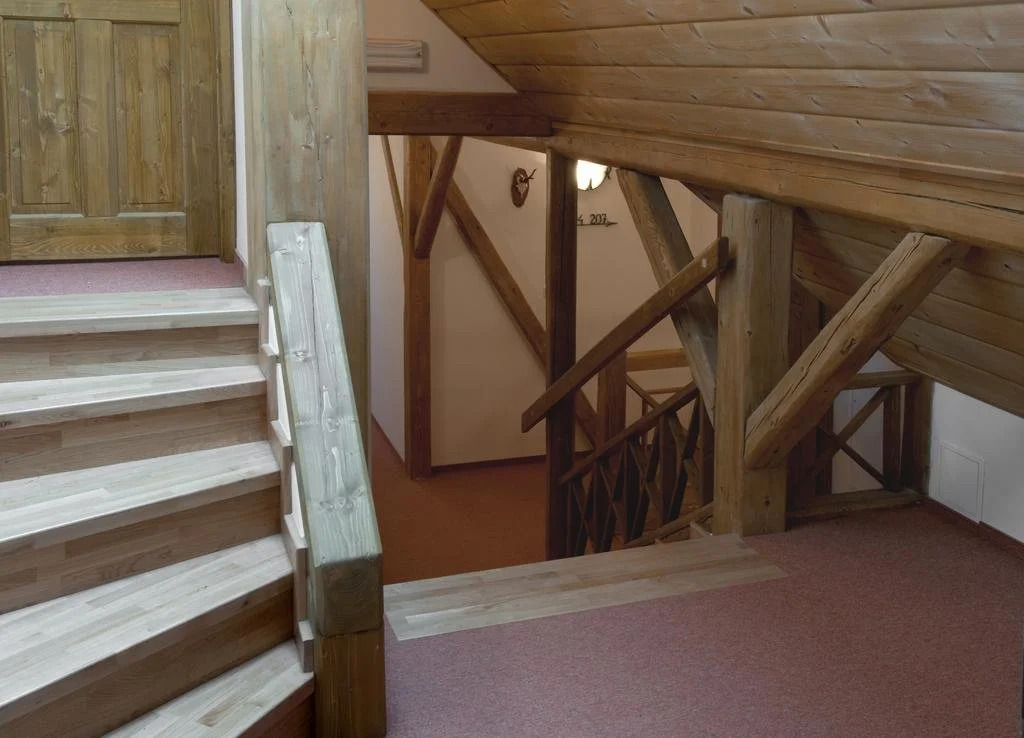Wellness Hotel Holzberg - krytý relaxační bazén, dětský bazén, whirlpool, sauna, restaurace, bowling, venkovní hřiště, herna, pingpong, billiard