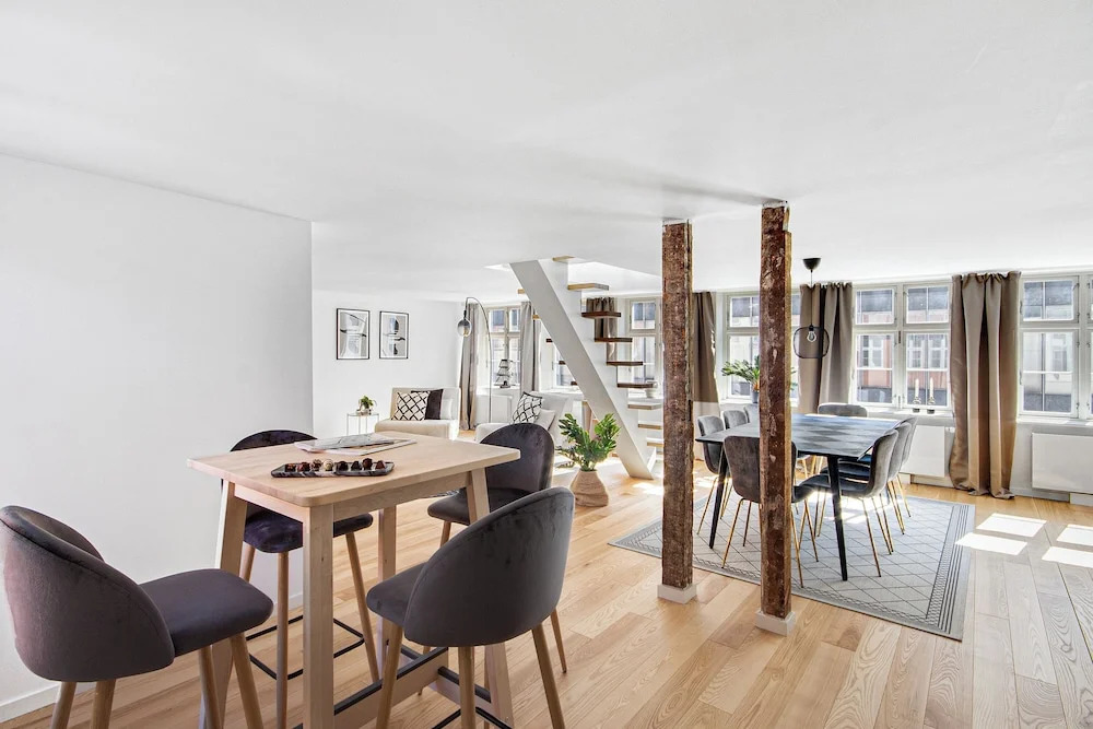 Regent 5 - Large Apt With Terrace Right in Centre of Copenhagen