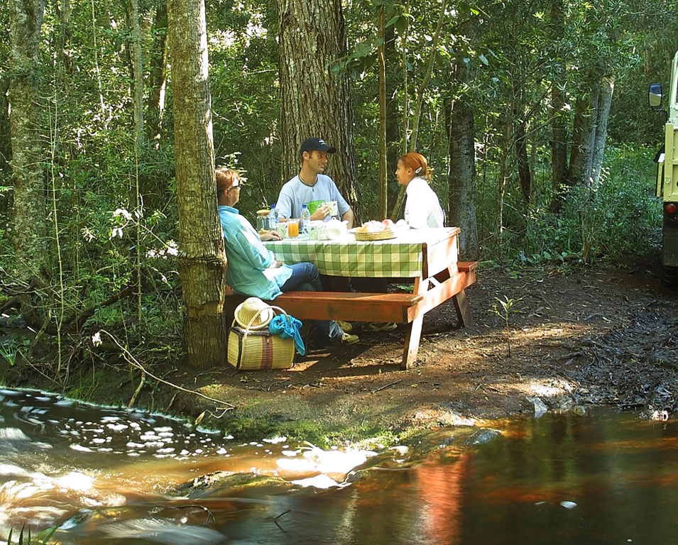 The Fernery Lodge & Spa