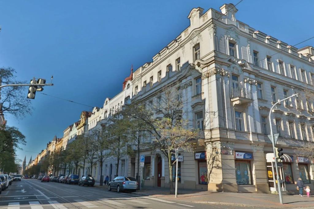 Wonderful apartment in Vinohrady