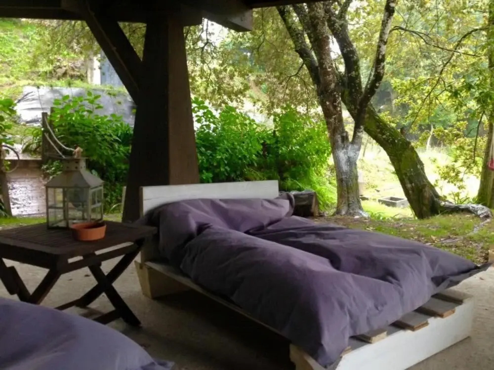 Tree Pool Villa