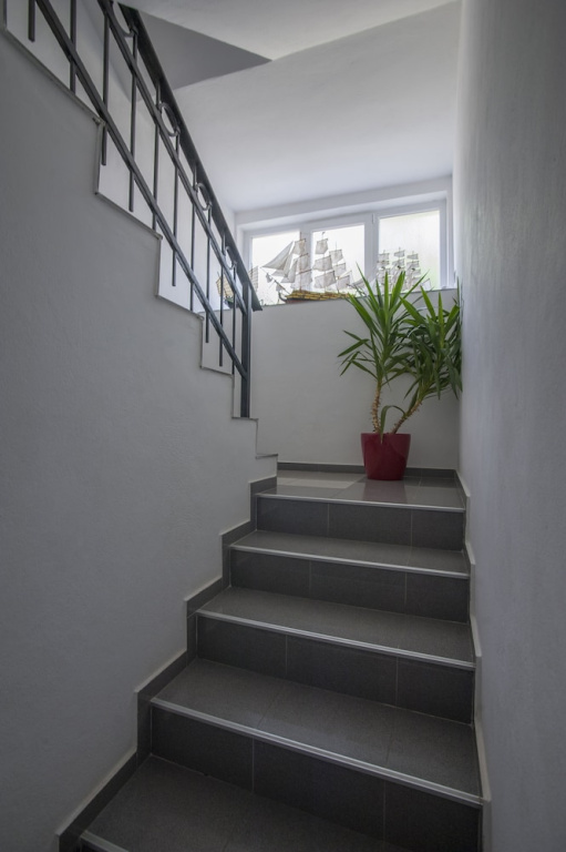 Apartments Vuksic