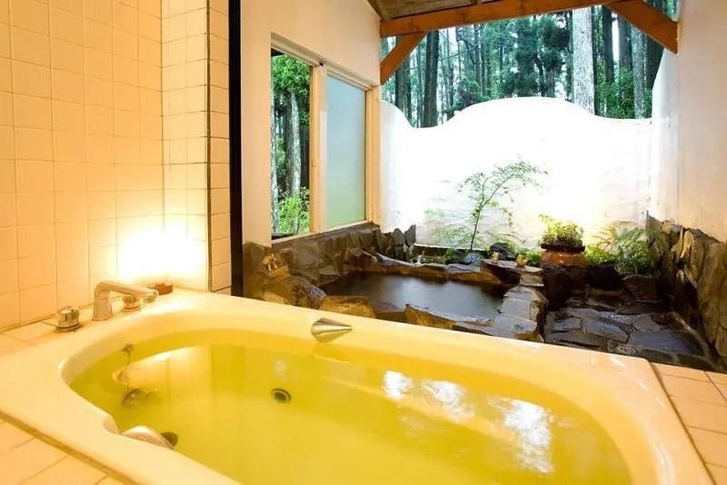 Auberge Mori no Kobito