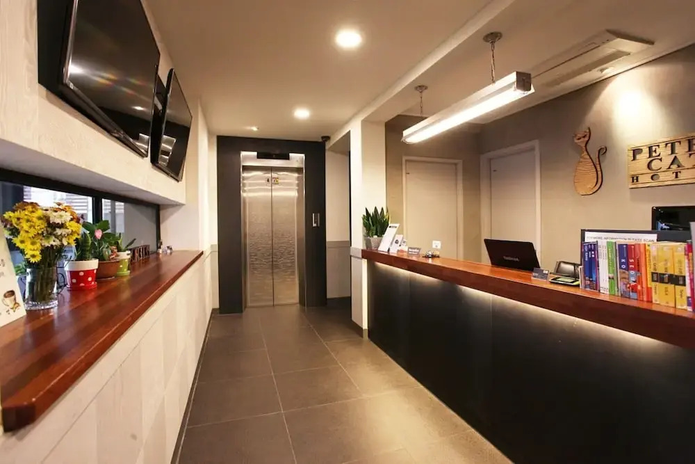 Petercat Hotel Shinchon