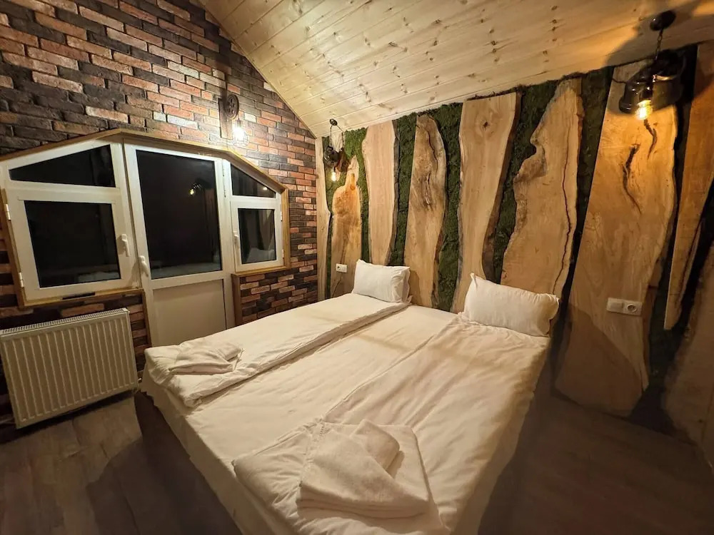The Luxurious Forest Villa Borovets1