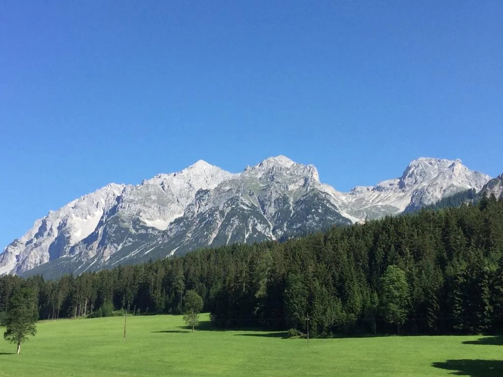 Alpenblick Apartments