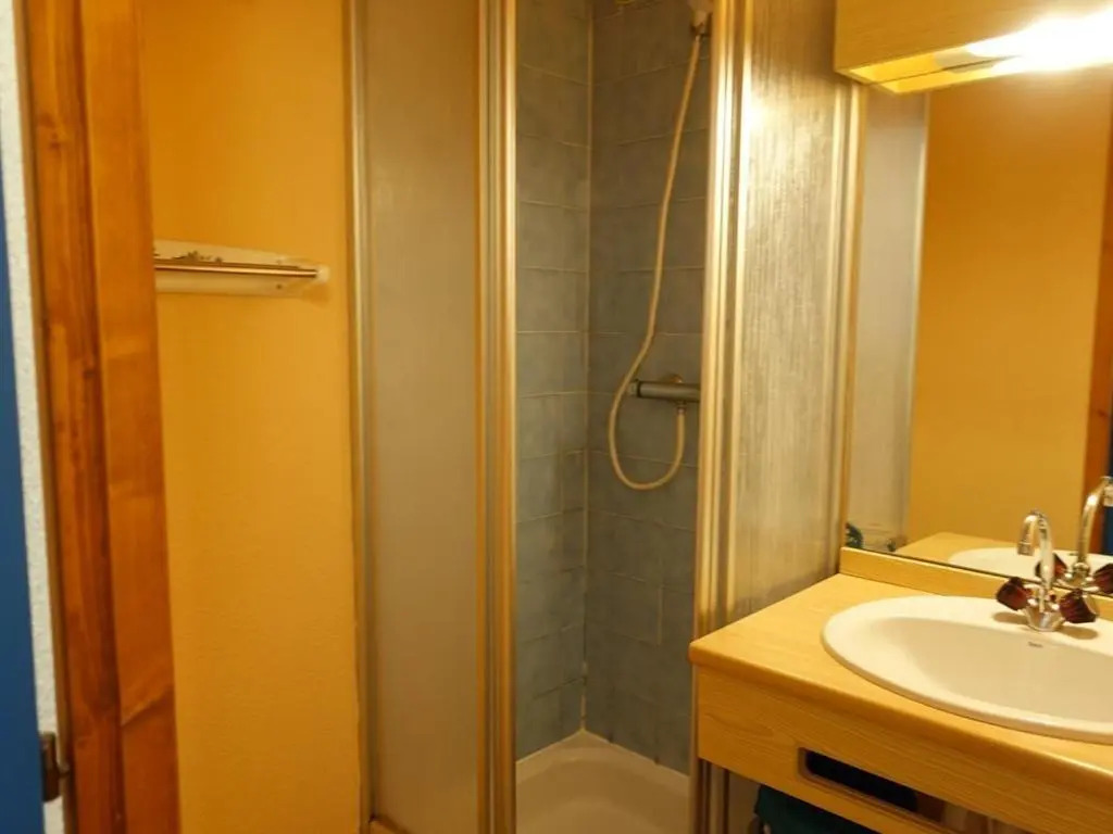 Appartement cosy 2-4 pers, cœur de village, proche pistes, piscine lété - FR-1-342-207