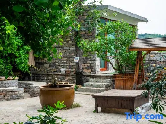 Two Ginkgo Trees · Old House Courtyard Homestay (Tianjin Jizhou Xijingyu)
