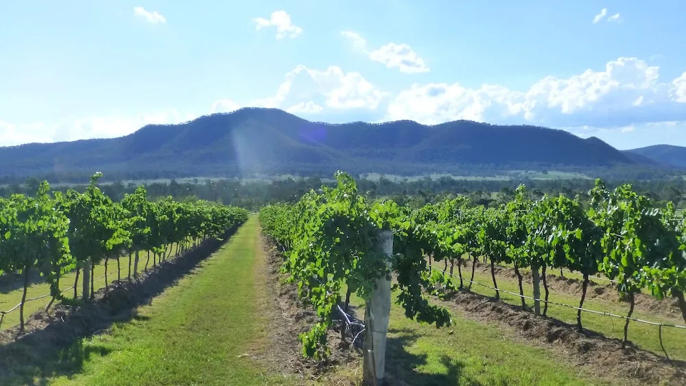 Winmark Wines