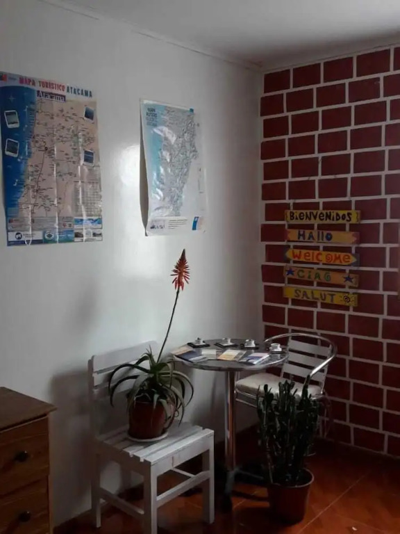 Hostel Cactus