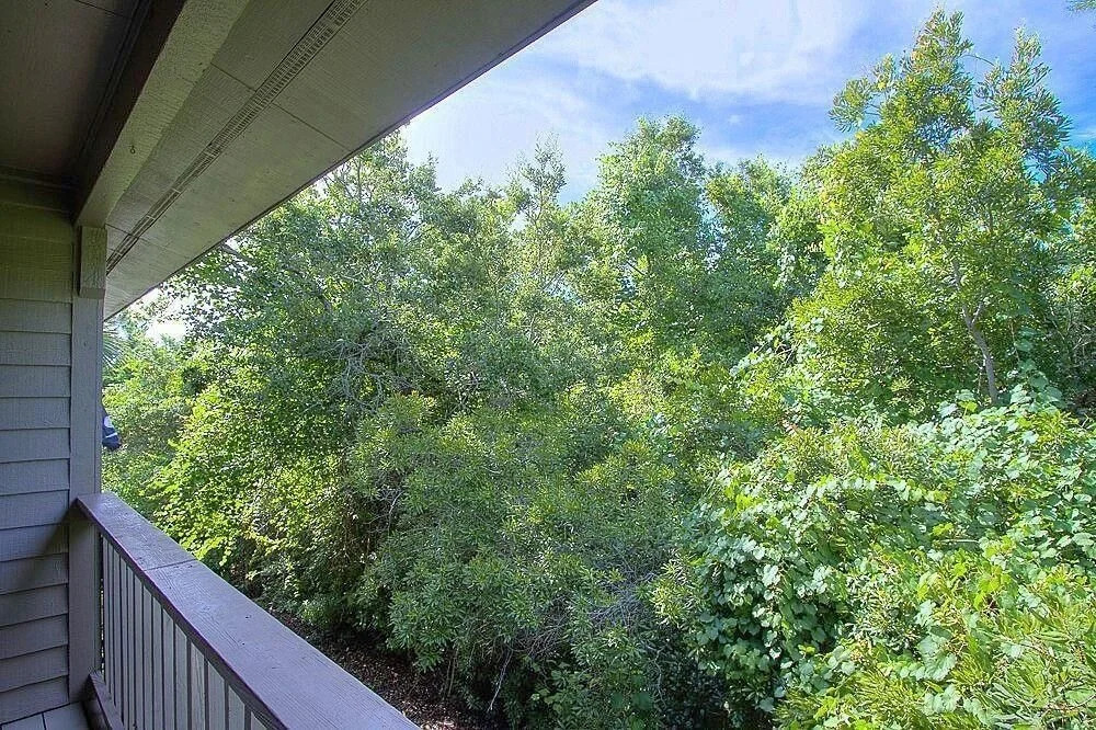 Teddy Bear - 2 Br Townhouse
