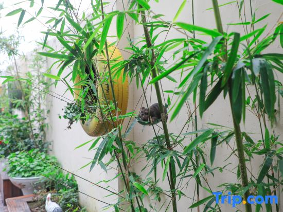 Xiangyuanju Guesthouse